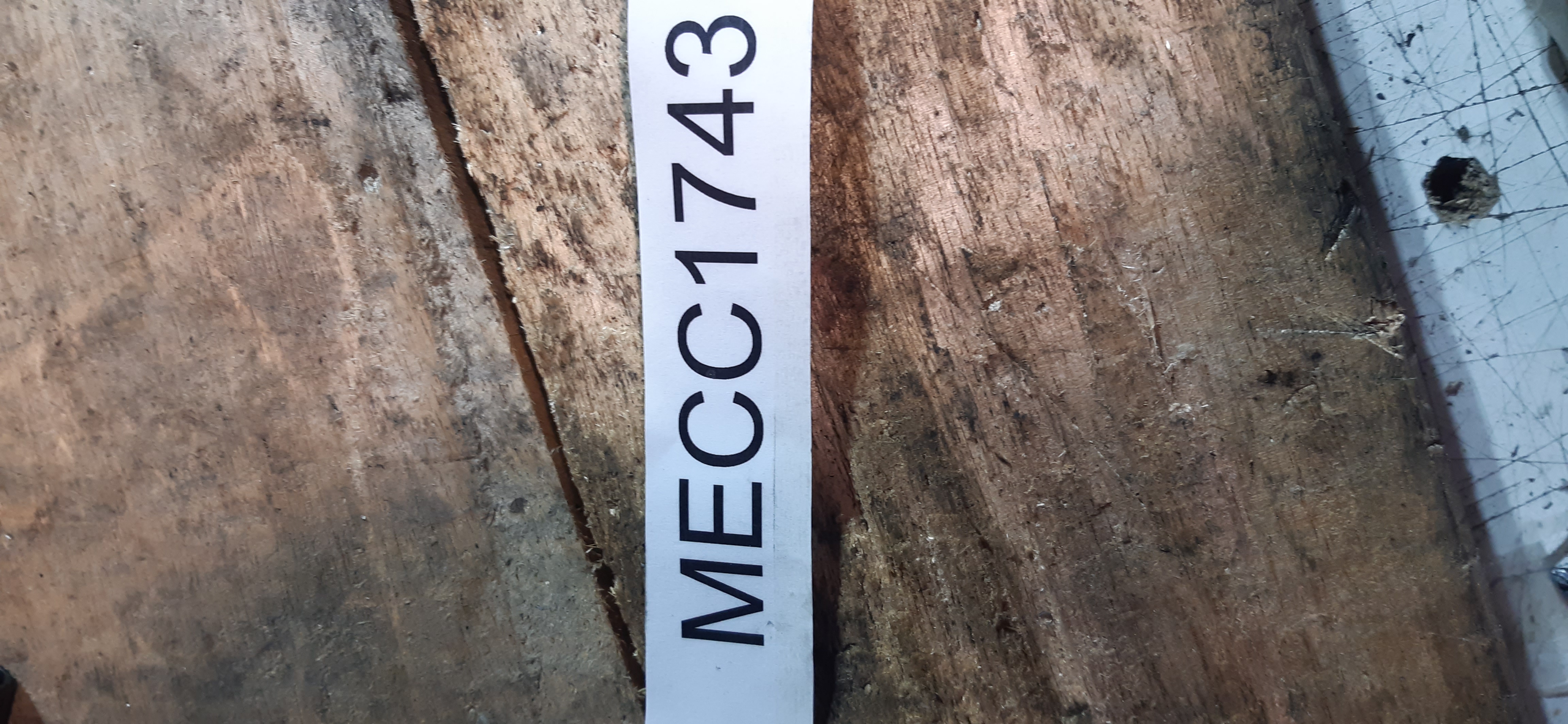 Molle Post SX Più DX BMW 218D Active Tourer 2017 MECC1743